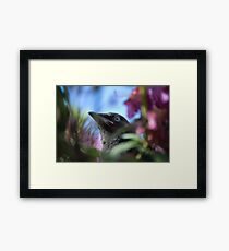 Blue Eyed Girl Framed Print
