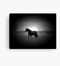 Magnificent Black Canvas Print