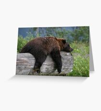 Nap Time Greeting Card