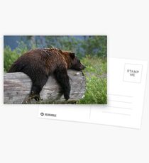 Nap Time Postcards