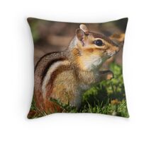 chipmunk pillow pet