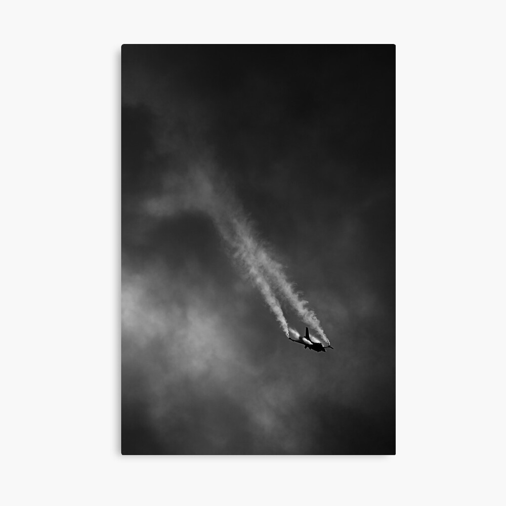 The Descent Canvas Print