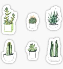 Watercolour cacti & succulents Sticker