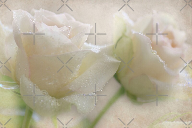 "Sparkling Roses" by AnnieSnel Redbubble