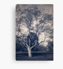 Afternoon In The Park Canvas Print
