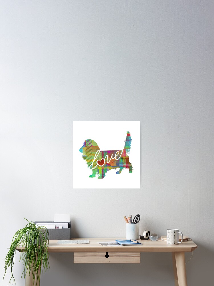 Long Haired Dachshund Weiner Dog Love A Bright And Colorful