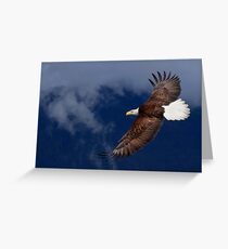 Flyin' High Greeting Card