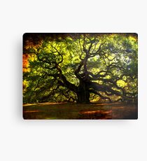 The famous Angel Oak Tree Metal Print