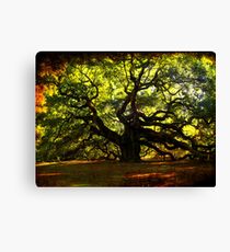 Lienzo El famoso Angel Oak Tree
