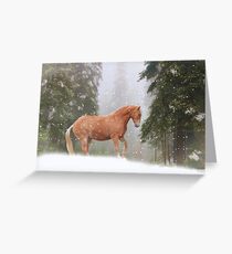 Christmas Horse Greeting Card