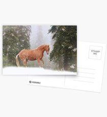 Christmas Horse Postcards