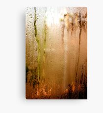 Condensation Canvas Print