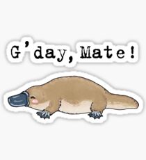 Little platypus - Animals series Sticker