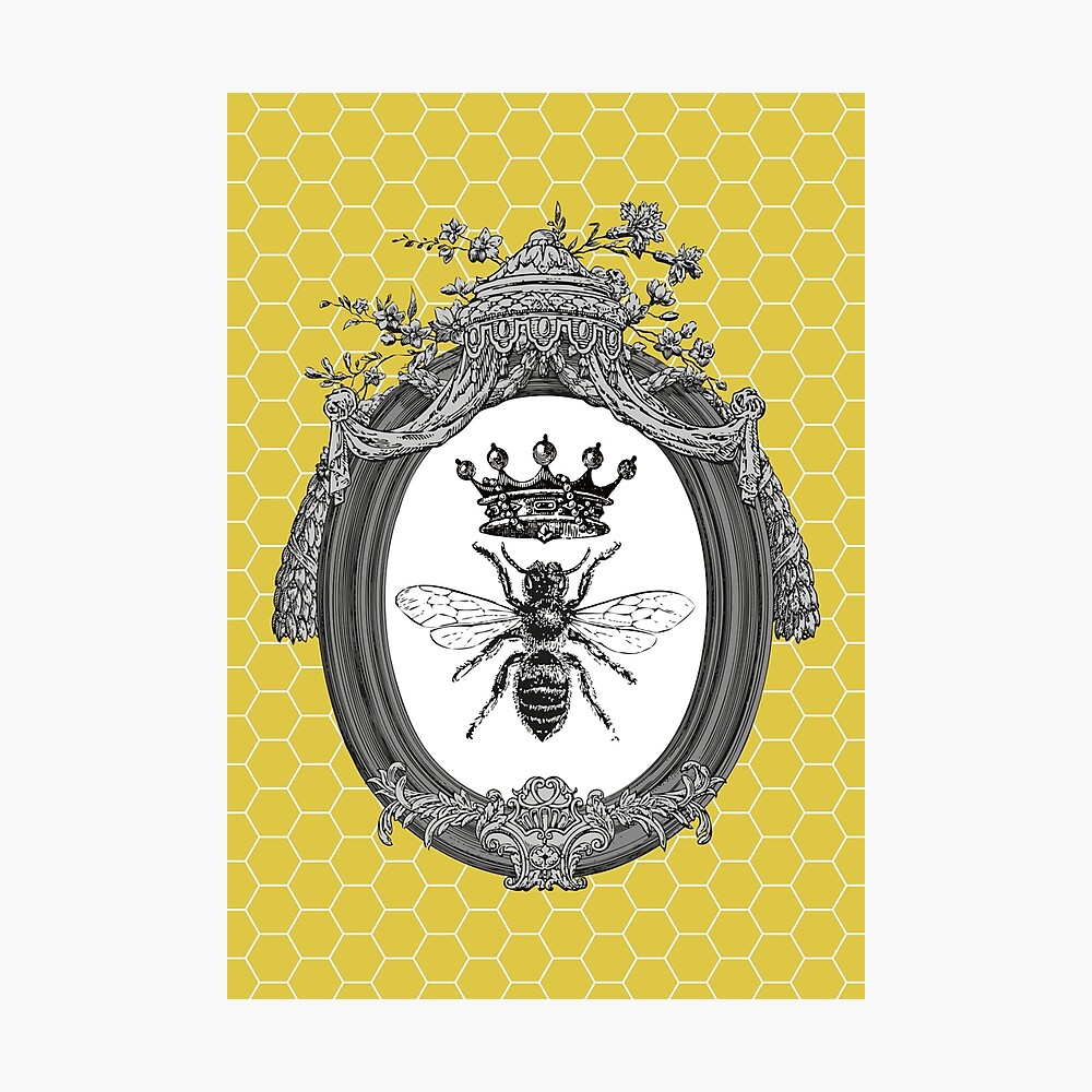 Queen Bee | Vintage Honey Bees | Honeycomb Patterns | Photographic Print