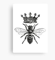 Queen Bee | Vintage Honey Bees | Black and White | Canvas Print