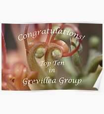 Grevillea Top Ten Banner Poster