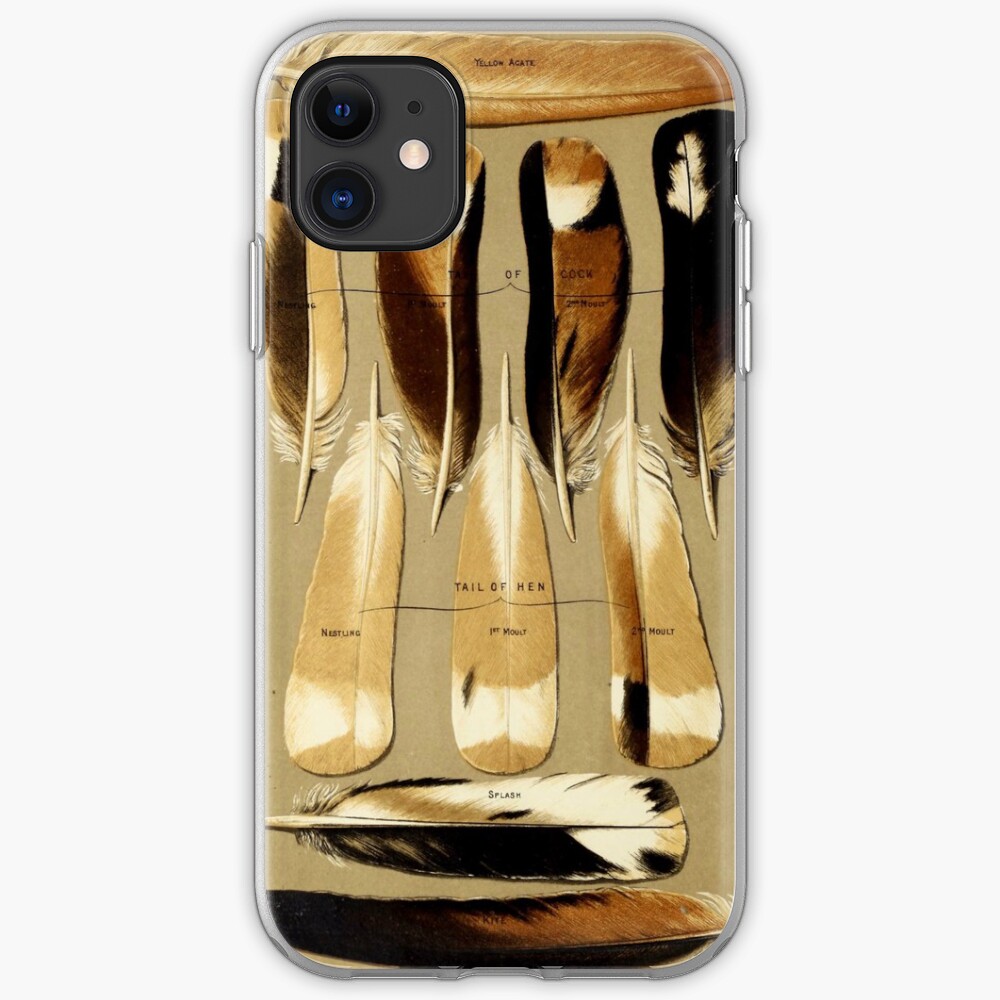 Pigeon Feathers iPhone Case & Cover