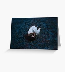 Sleeping girl in forest Greeting Card