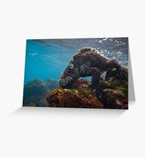 Tarjeta de felicitación Marine Iguana breakfast