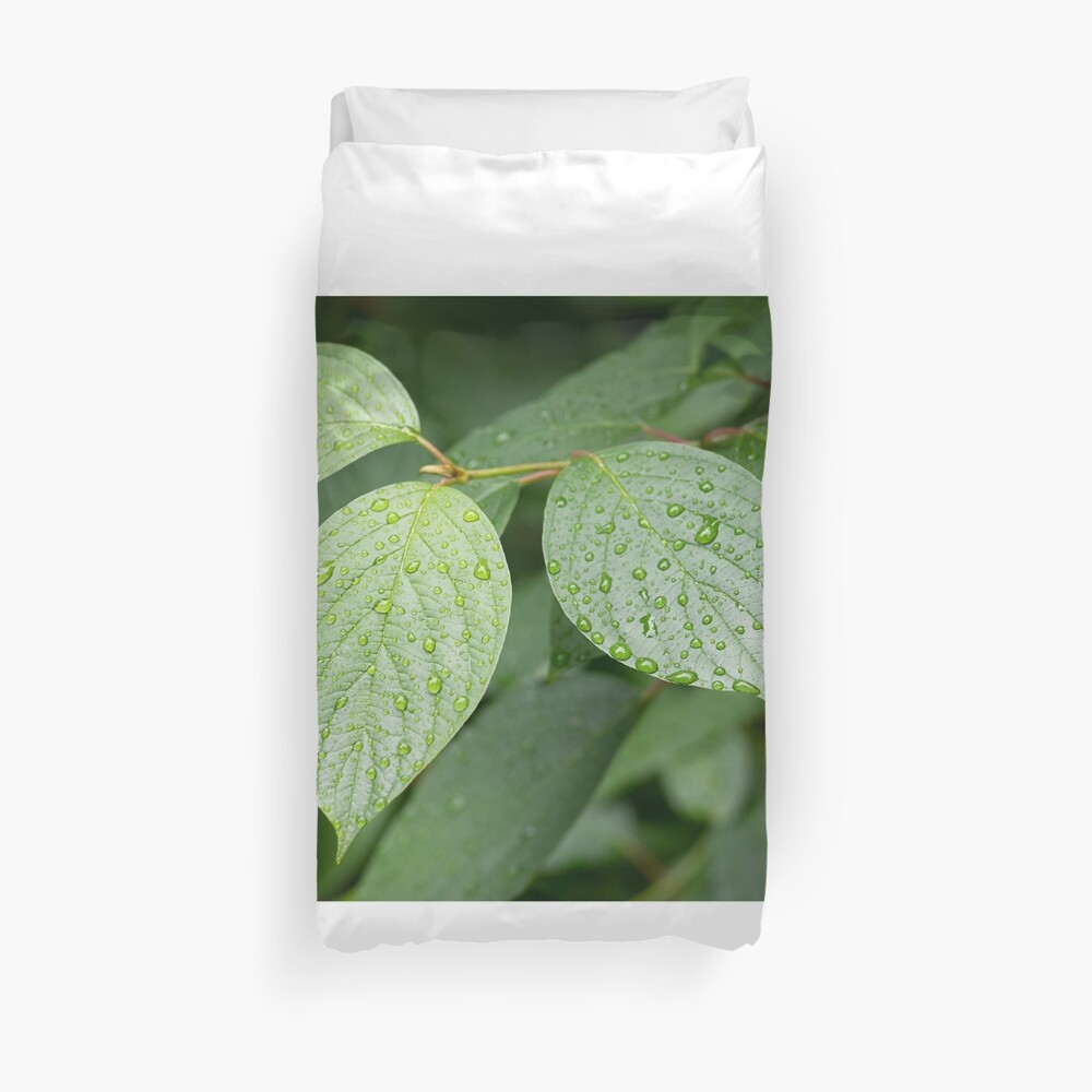 Water drops on green leaves after rain Duvet Cover