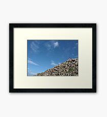 Lady in Red Framed Print