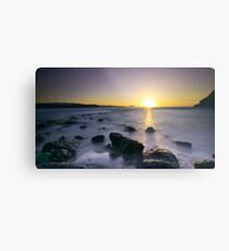 adios verano Metal Print