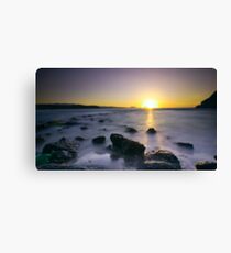 adios verano Canvas Print