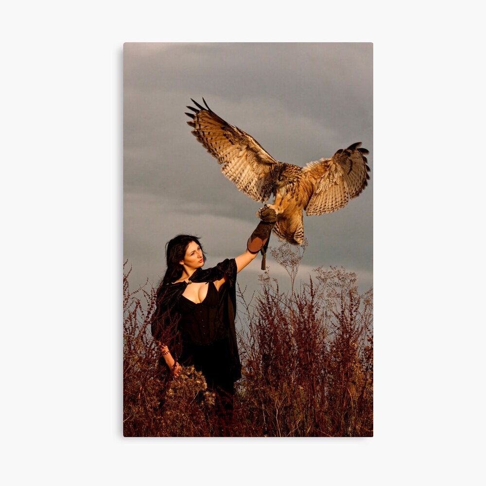 The Owl Returns Canvas Print