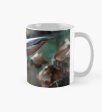 Laughing Kookaburra Mug