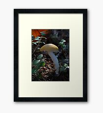 "Yellow Cap" Framed Print