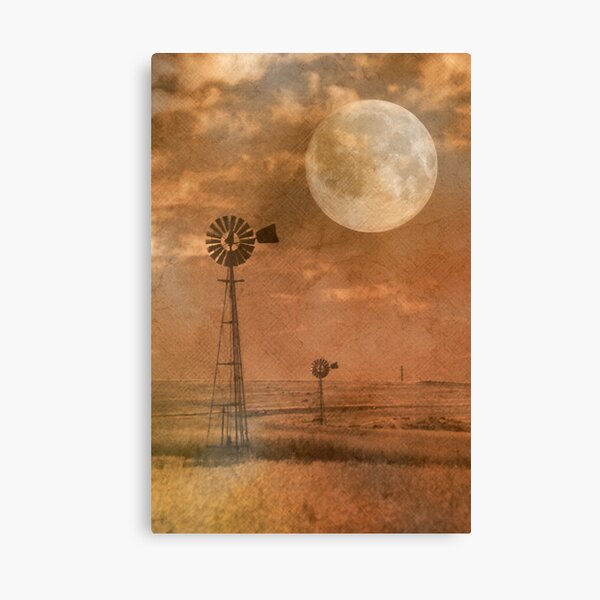 Harvested Canvas Print