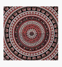 Tapestry Elephant Red Background Photographic Print