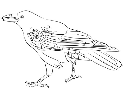 "Crow line art" Poster by vixfx | Redbubble