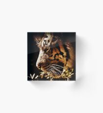 Absolute Focus Acrylic Block