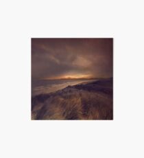 ROSSBEIGH Art Board