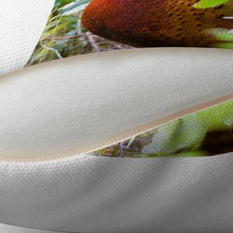 Alternate view of Pheasant (Phasianus Colchicus) Throw Pillow