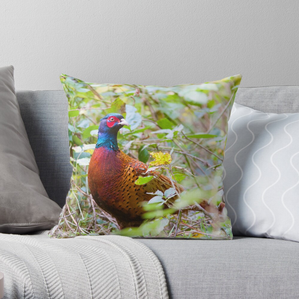 Pheasant (Phasianus Colchicus) Throw Pillow