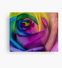 Rainbow Rose Photograph Metal Print