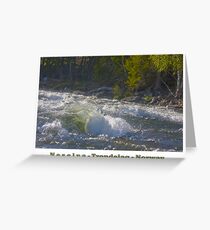 Water powers - Nesselva . Norway. Brown Sugar Story.Featured in Group Fishlike . Favorites: 1 Views: 324 . Thx! Greeting Card