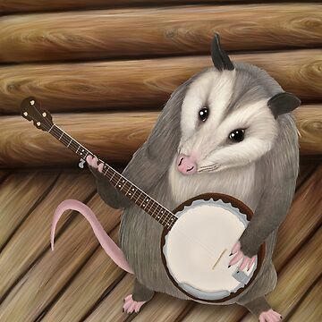 Artwork thumbnail, Opossum playing the banjo - possum by Mehu
