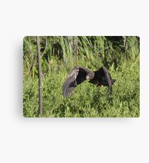 The New Flyer Canvas Print