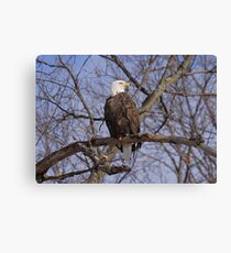 A Mother's Profile Canvas Print