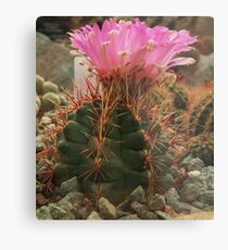 Lámina metálica Cactus