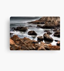 This Lament Canvas Print
