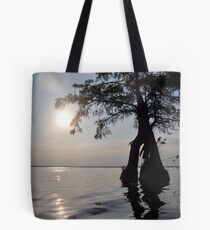 Cypress Sun! Tote Bag