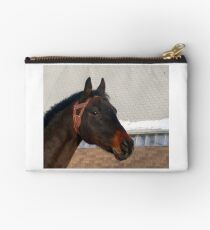That Distant Look Studio Pouch