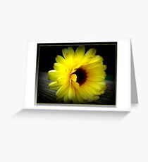 Calendula Greeting Card