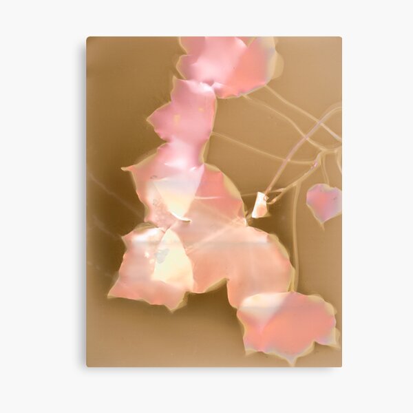 English Ivy Lumen Print Canvas Print