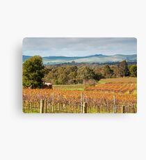Autumn Vines of the Barossa Canvas Print