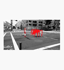 Monogatari – Red Crab Photographic Print